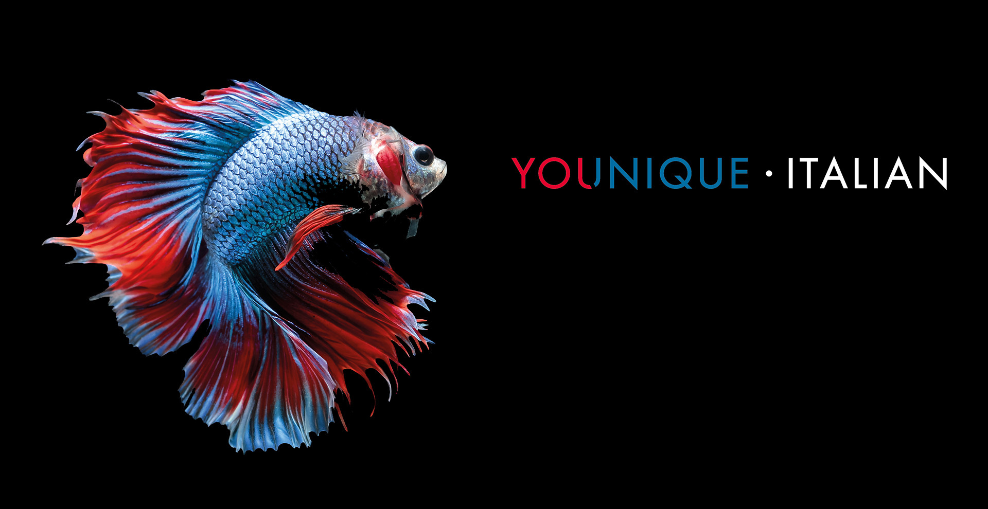 slider_pescecombattente_youniqueitalian_generalfittings.jpg