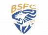 BSC_Logo_trasparente.png