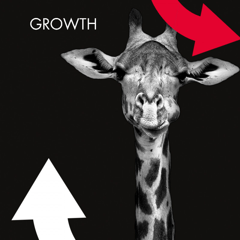 GROWTH.jpg